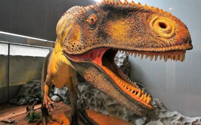 Espéraza : Entre Histoire des Dinosaures et Héritage Industriel