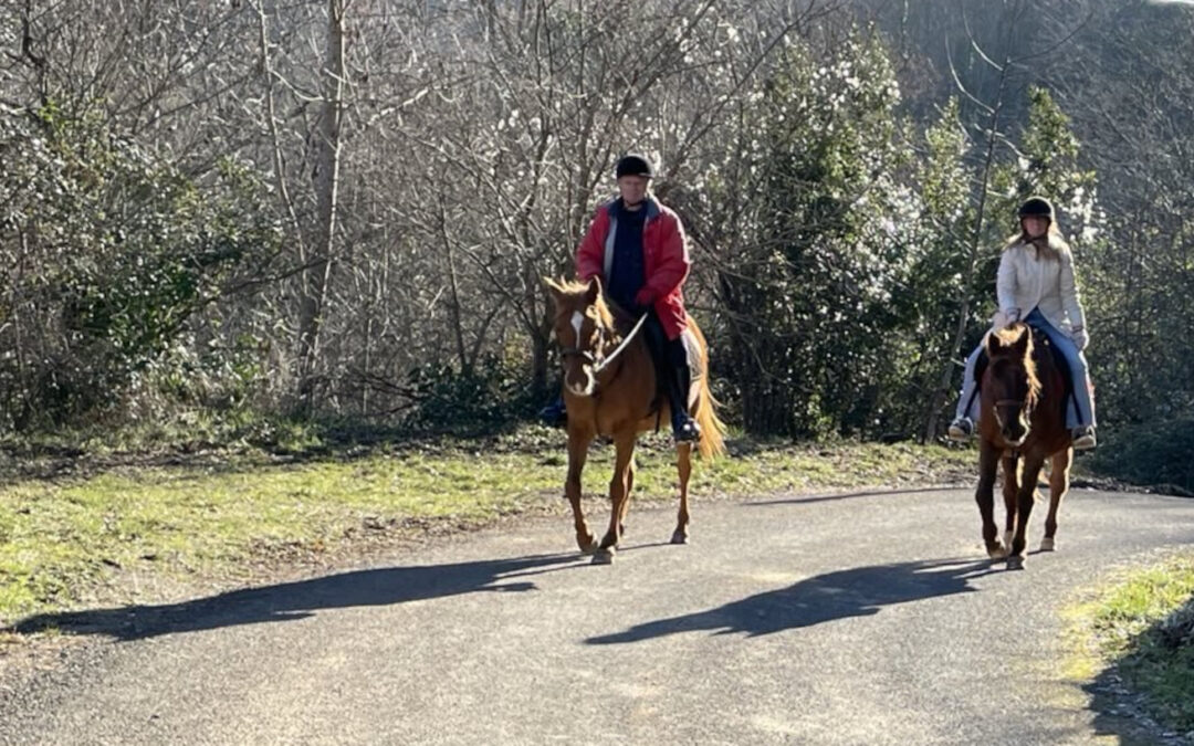 Randonnée à cheval