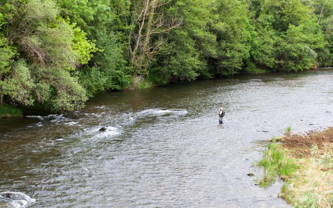 Pêche en 1ère Catégorie : Une Immersion Nature à Proximité