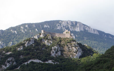 Château de Puilaurens