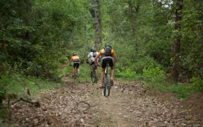 Aventure et Découverte au Cœur de la Haute Vallée de l&rsquo;Aude
